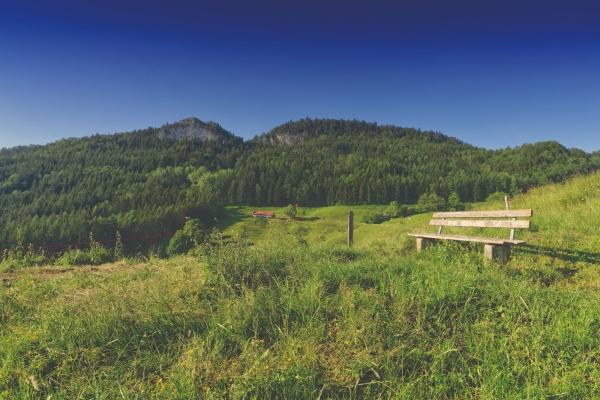 Quellenwanderung mit Eptinger und CH Media abo+
