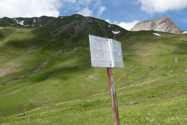 Cueillette de ciboulette sauvage à Samnaun