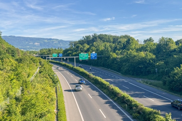Spazierwanderung zwischen Natur und Stadt