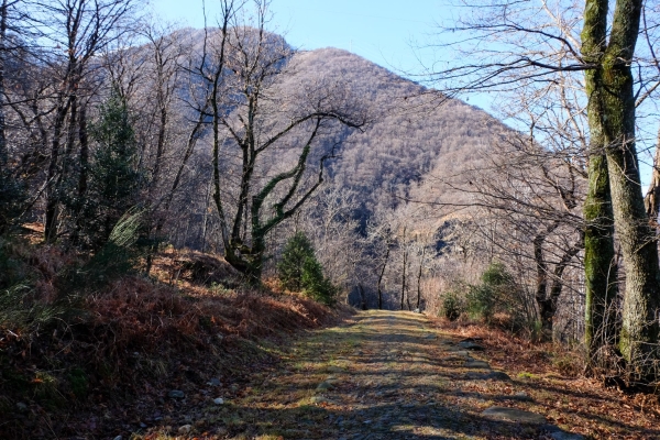 Par la route historique du Monte Ceneri