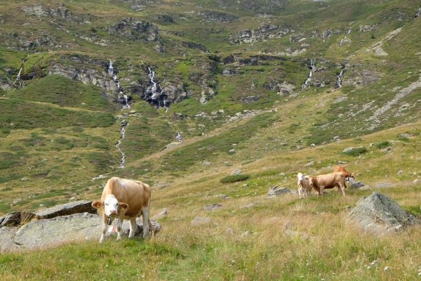 De la Valle di Blenio à la Leventina