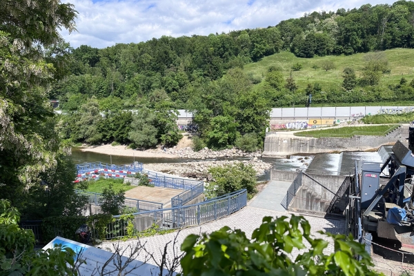 Frühlingspfad am St. Alban-Teich in voller Blüte
