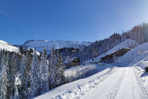 3. Winteridylle um die Marbachegg