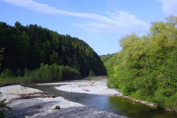 30. Grasburg, ruine romantique (BE)