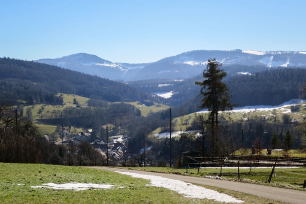 De Dornach à Seewen