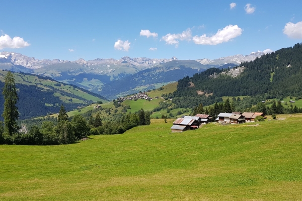 Signina – ein Paradies zwischen Tobeln und Schluchten