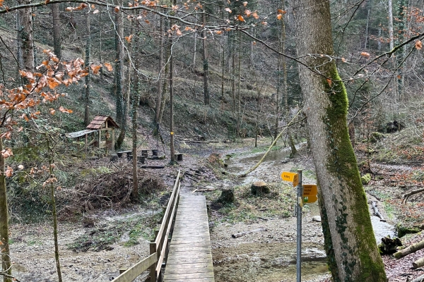Frühling am Altbach