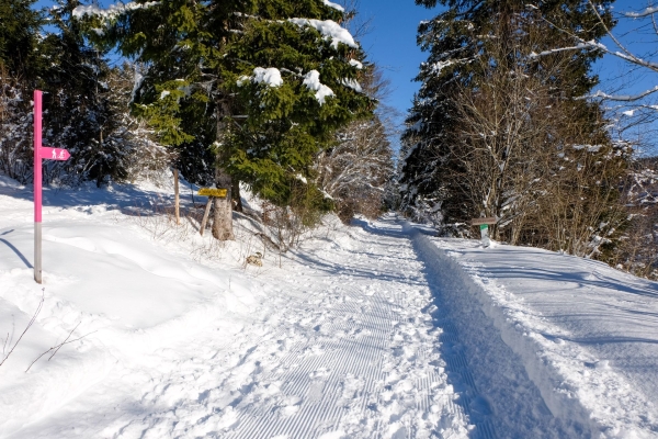Unter dem Chasseral, ob dem Nebel