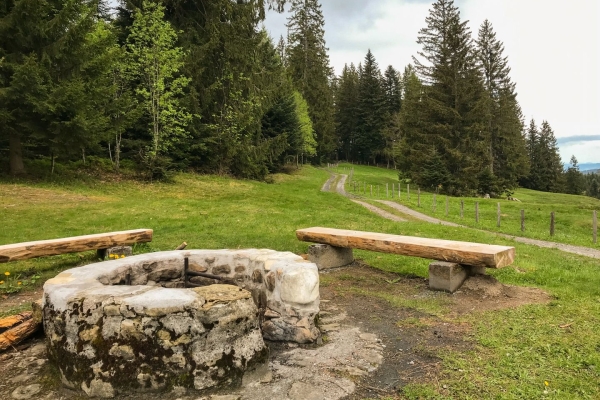 Vom Ägerisee hinauf zu den Hochmooren