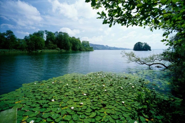 Mauensee (**/T1)