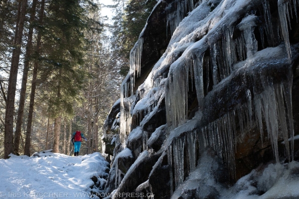 Schneeschuhrunde über die Lombachalp