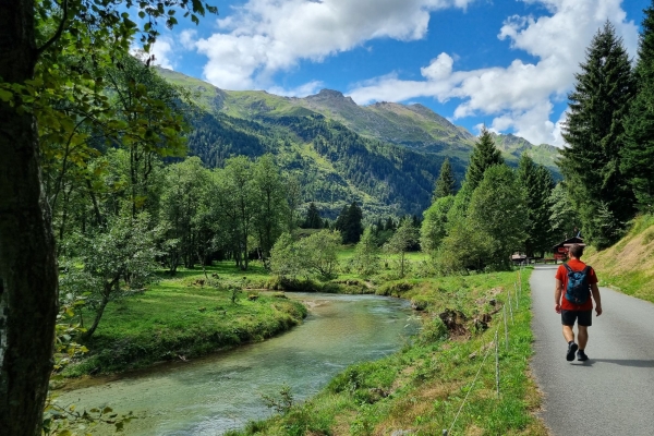 Blühende Alpwiesen und Hochmoore am Lukmanier
