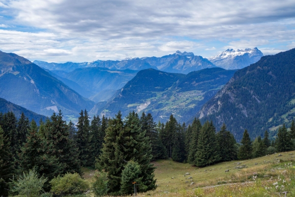 A la rencontre du Verbier sauvage