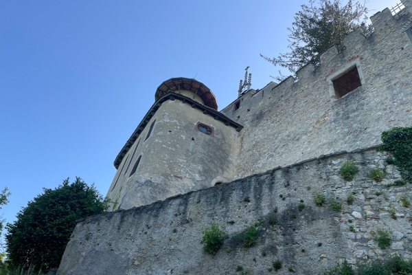 Cerisiers en fleurs près de Gempen