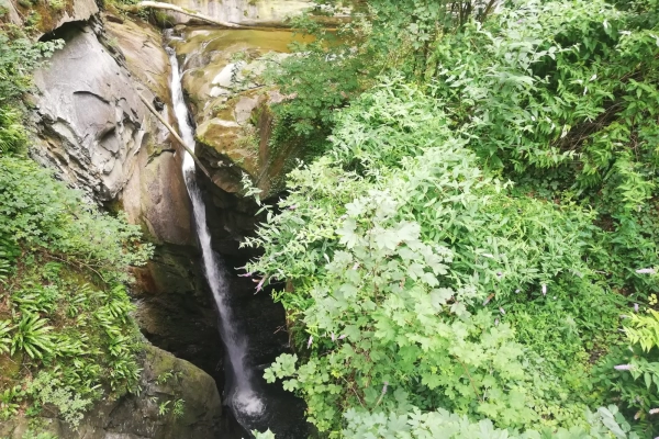 Ränggloch und Wolfschlucht (****/T2) MIT Anmeldung