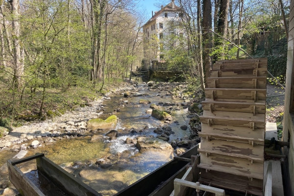 Rund um Neuenburg in die Natur eintauchen