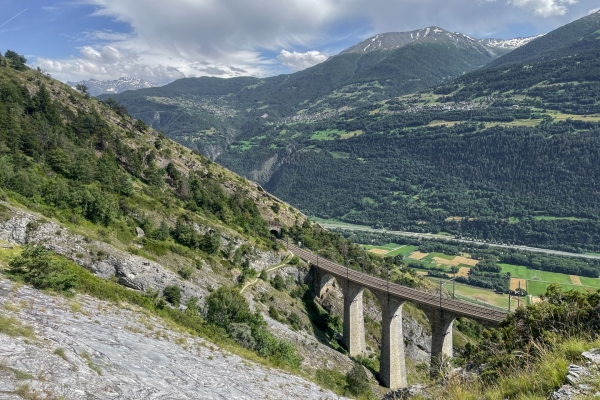 Auf Wespensuche an der Südrampe