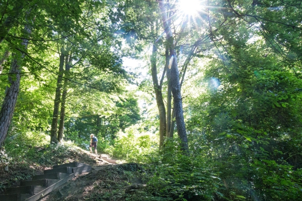 Le jardin thurgovien de Charlemagne