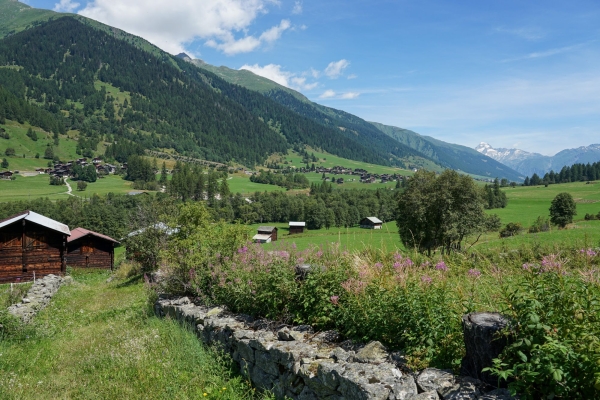 Pause panoramique à l’alpe Bordstafel