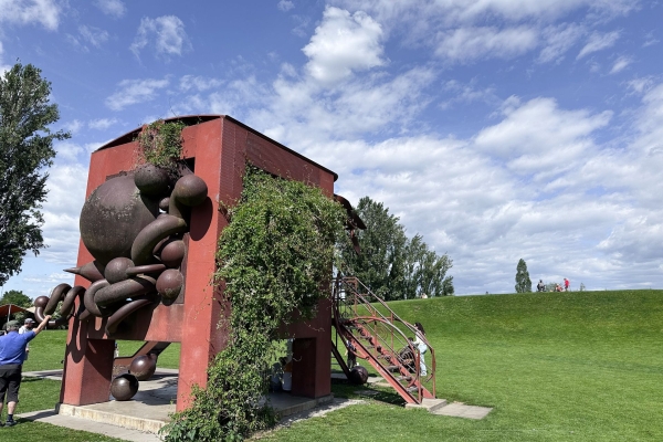 Sentiero in fiore al canale di St. Alban