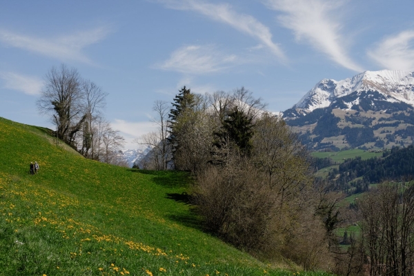 Cultura della costruzione autoctona nel Basso Simmental