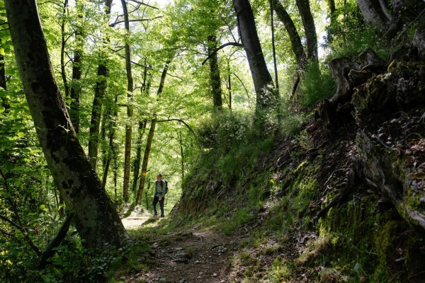 Üppiger Wald und ein Wasserfall im Malcantone
