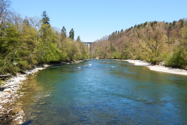 Le long de la Reuss sauvage
