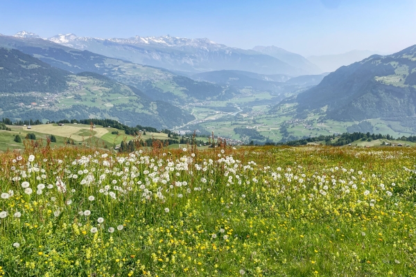 Sur le flanc du «Rigi des Grisons»
