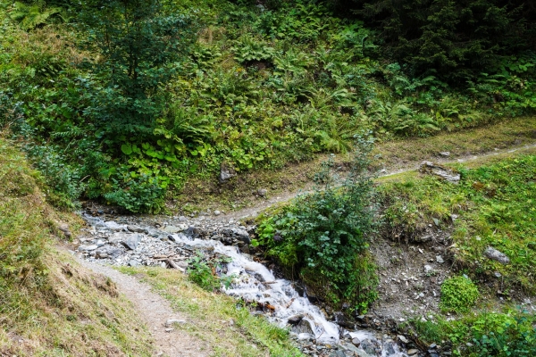 A la rencontre du Verbier sauvage