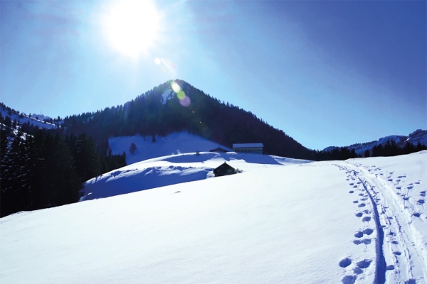 Schneeschuhtour vor der Grünau in den Schnee
