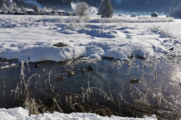 Ohne Steigung zu den Simmenfällen