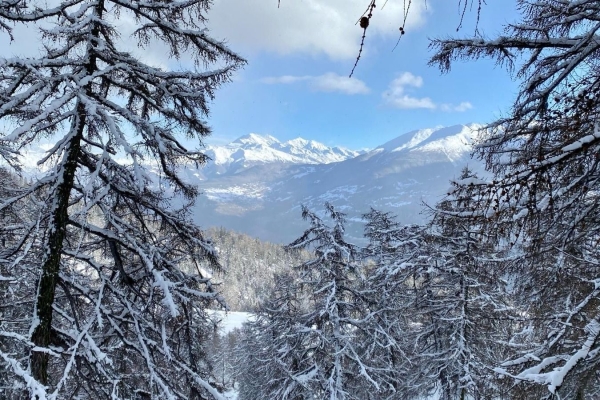 Schneeschuhtour magischer Wald Jeizinen