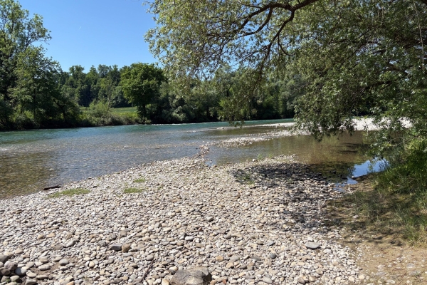 Sonnige Uferwanderung entlang der Reuss