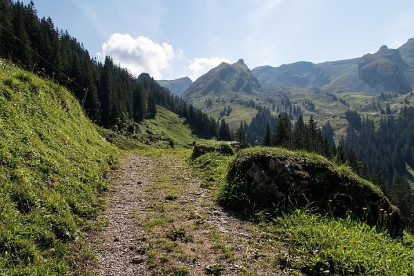 Wandern & Taiji-Qigong auf die Musenalp NW