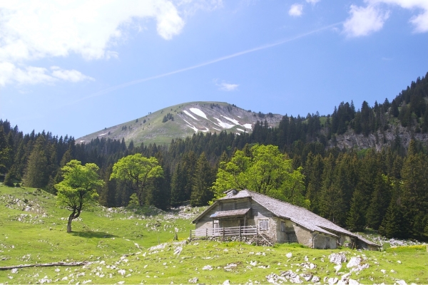 3.A Die Entdeckung beim Aufstieg 09:00