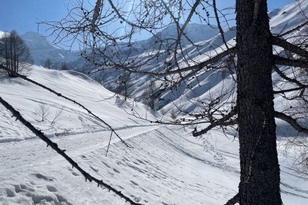 Courte randonnée au col du Simplon
