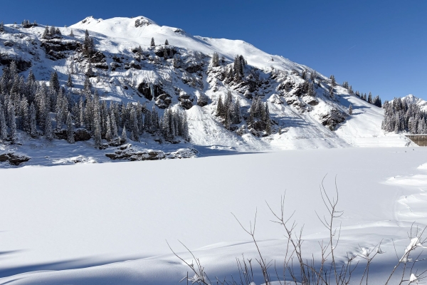 Leichte Schneeschuhwanderung durchs Wildschutzgebiet