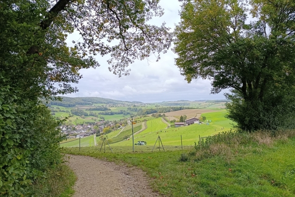Reiatwanderung: Von Bibern über Barzheim nach Thayngen