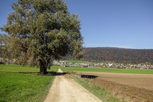 Le val de Ruz d’un bout à l’autre