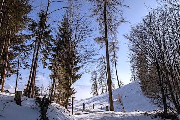 04. Vue sur le Lac de Thoune (BE)