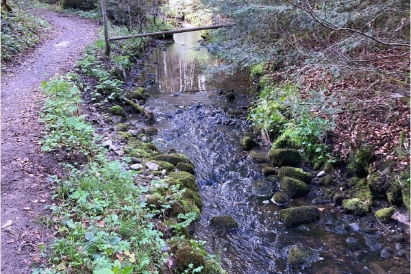 33. En remontant le Gérignoz