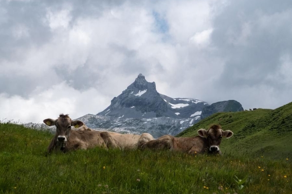 Unterwegs im Karstgebiet am Graustock
