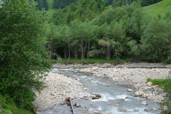 Abenteuer an der ursprünglichen Sense