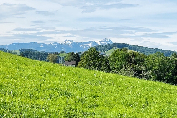 Über die Höhen zum steinigen Tisch