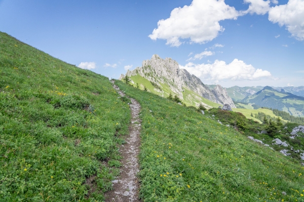 Les hôtes délicats des Gastlosen