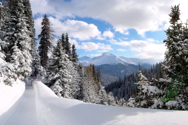 Sonne tanken am Zauberberg