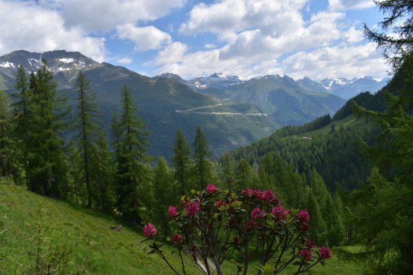 NUOVA DATA - Strada degli Alpi Bedretto