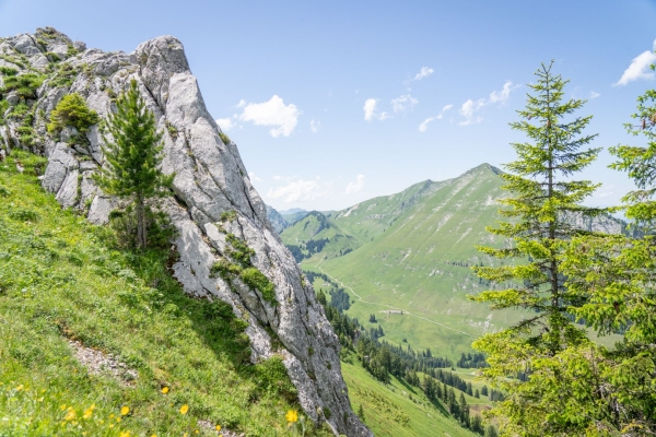 Les hôtes délicats des Gastlosen