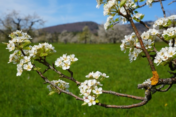 Interregio-Wanderung 2. Etappe