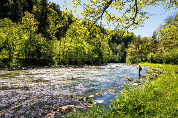 Excursion printanière dans un paysage de moraines